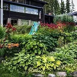 Onskedrommen Appartement *