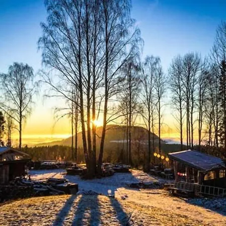 Onskedrommen *