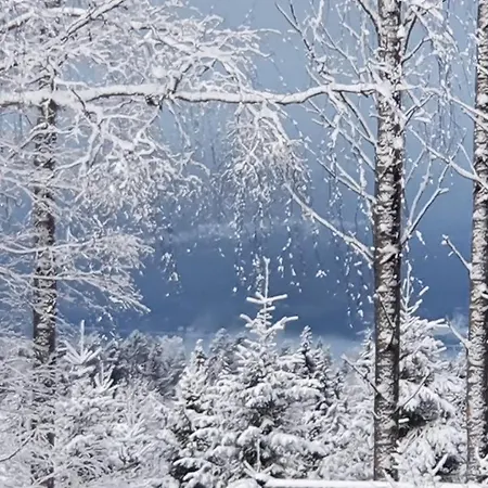 Onskedrommen *