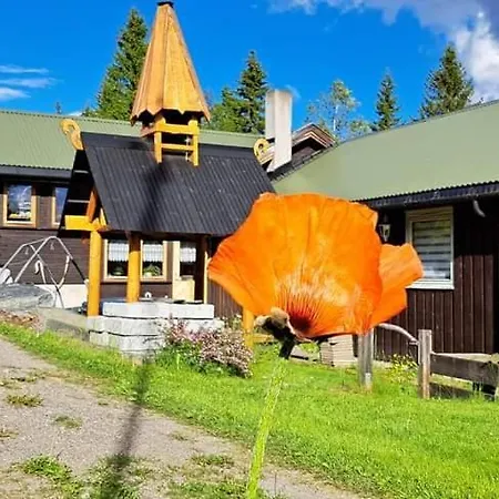 Onskedrommen Apartment Brandbu