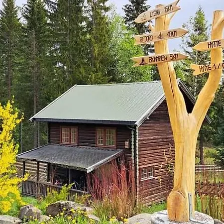 Onskedrommen