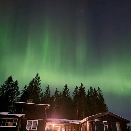 Onskedrommen Apartment