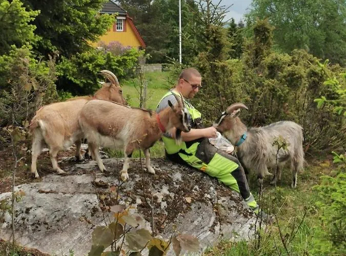 Appartement Onskedrommen Brandbu