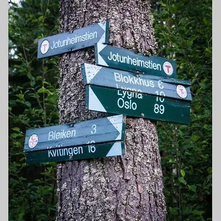 Lägenhet Onskedrommen Brandbu