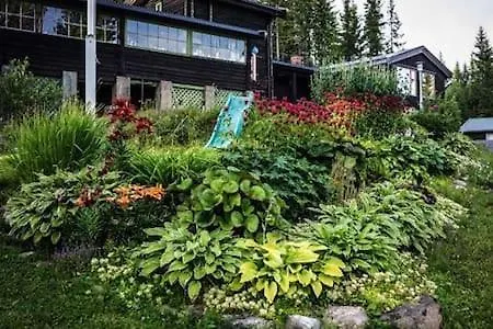 Onskedrommen Lägenhet *