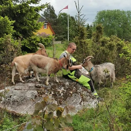 Lägenhet Onskedrommen Brandbu